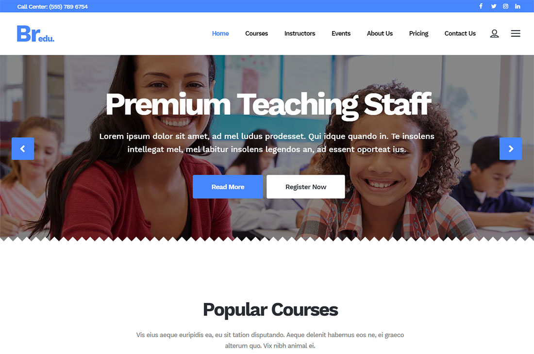 bridge elementary school WordPress theme