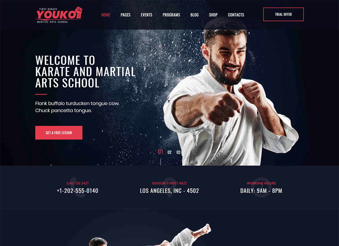 Youku Martial Arts WordPress Theme