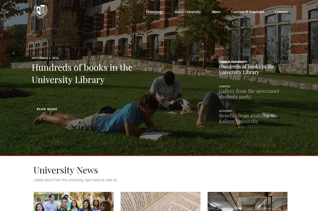 kalium elementary school WordPress theme