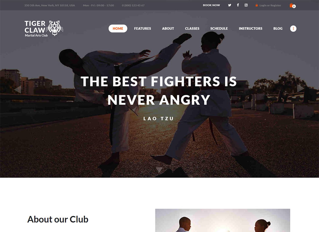 Tiger Claw Martial Arts WordPress Theme