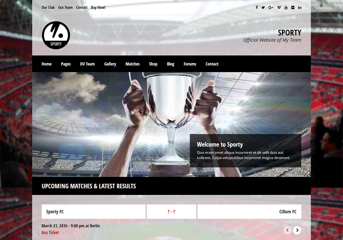 Sporty baseball WordPress theme
