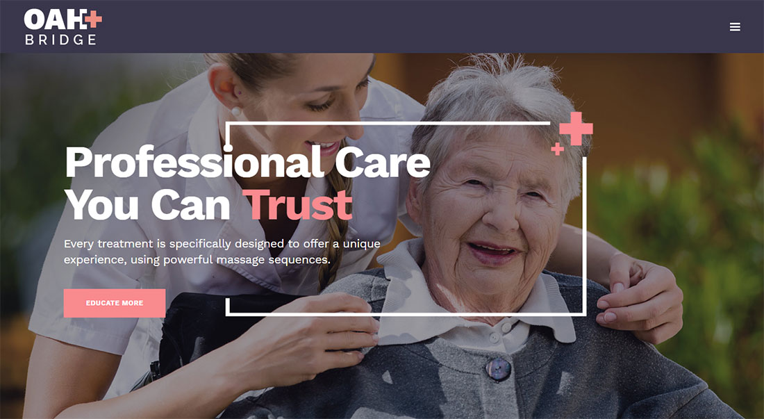 bridge elderly care wordpress themes