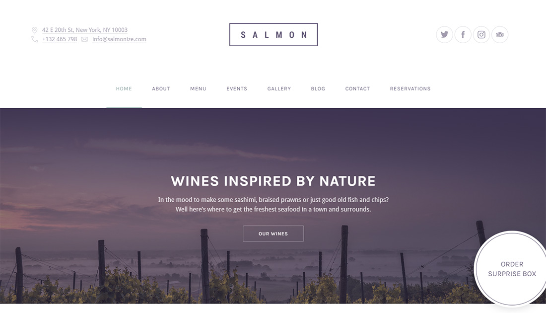 Salmon accessible WordPress theme