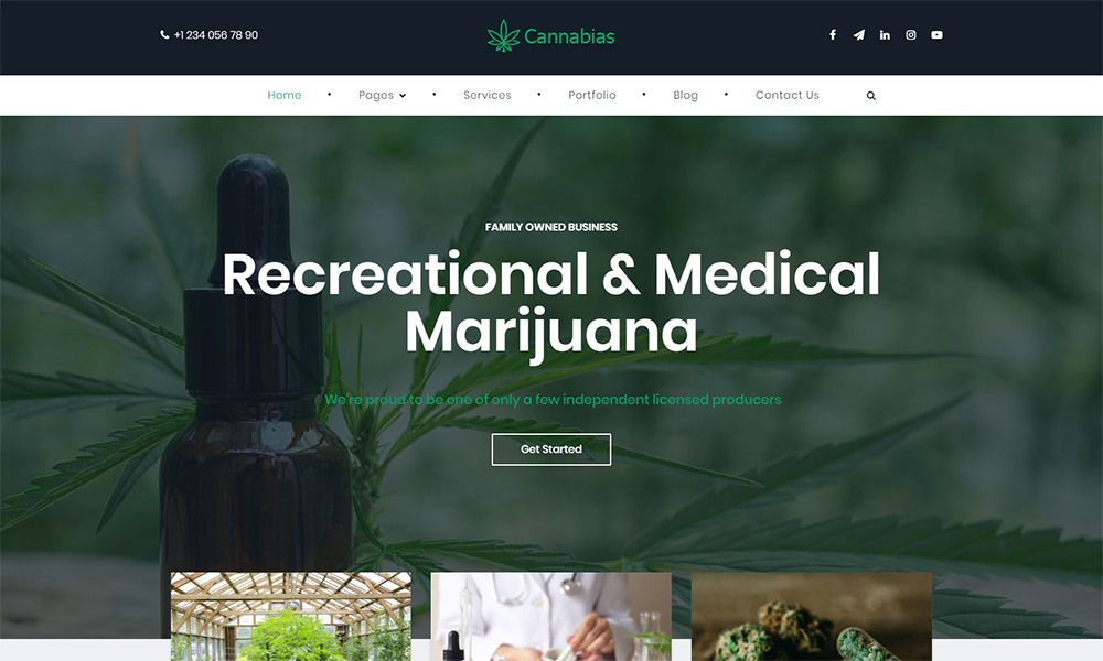Cannabias medical marijuana business WordPress Theme