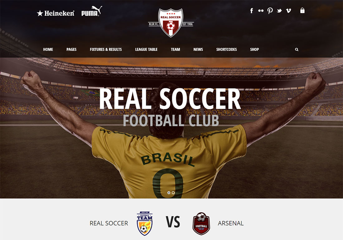 REal Soccer baseball WordPress theme