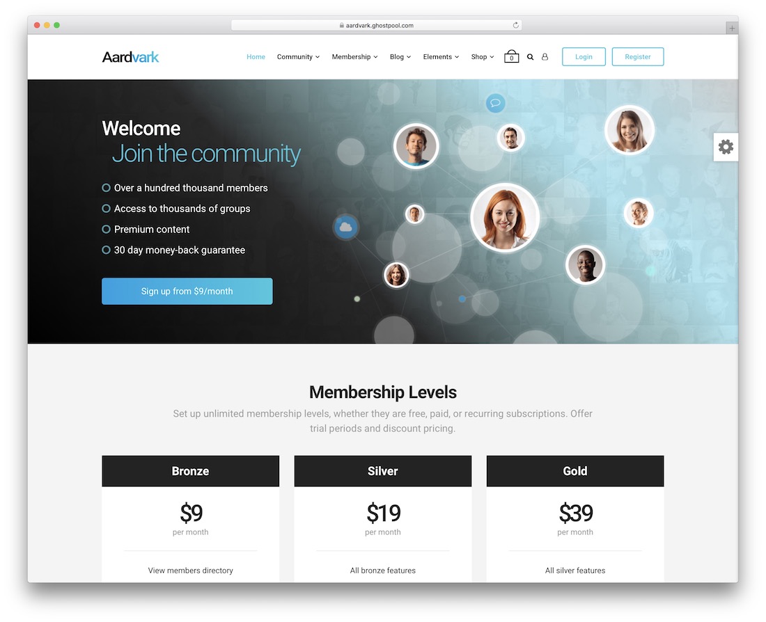 aardvark question answer wordpress theme