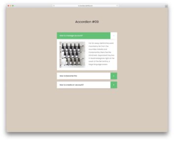 accordion 09