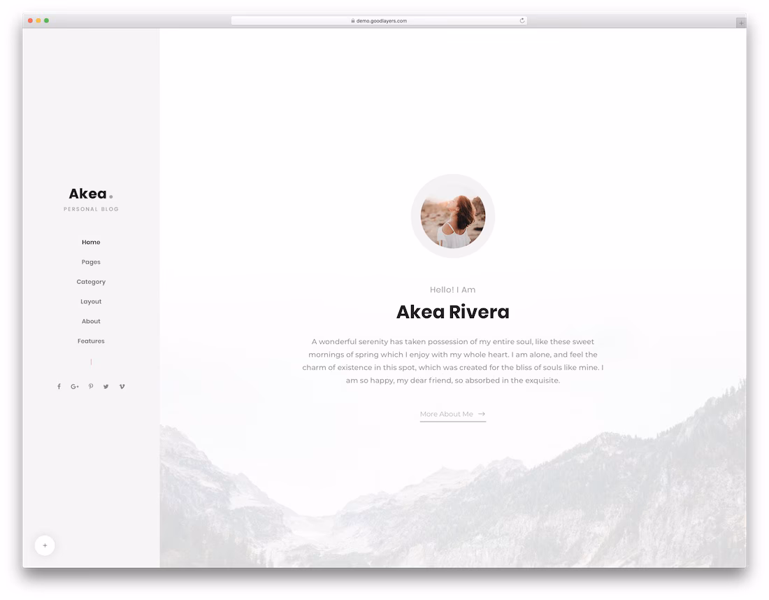 akea wordpress theme compatible with gutenberg