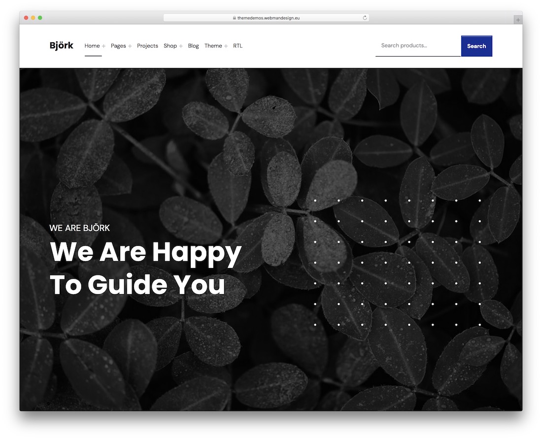 bjork accessible wordpress theme