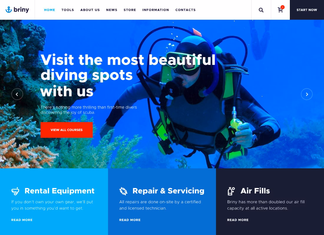 Briny | Scuba Diving School & Water Sports WordPress Theme