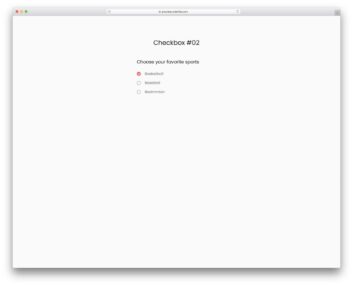 checkbox 02