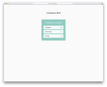 checkbox 04