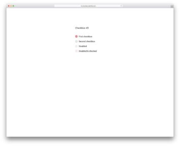 checkbox 13