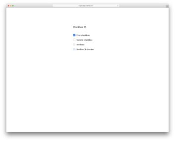 checkbox 16