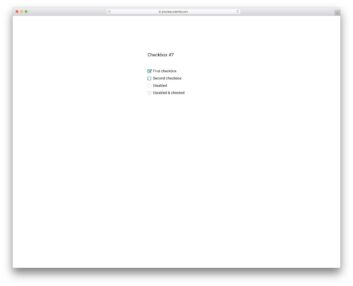 checkbox 17