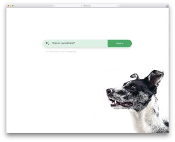 colorlib search form 23
