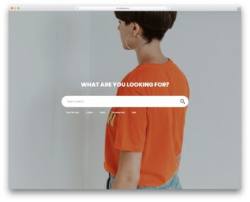 colorlib search form 4