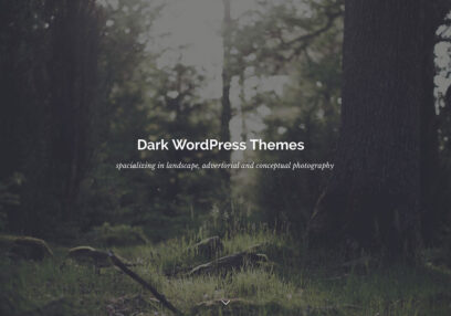 dark WordPress themes