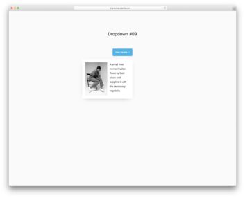 dropdown 09