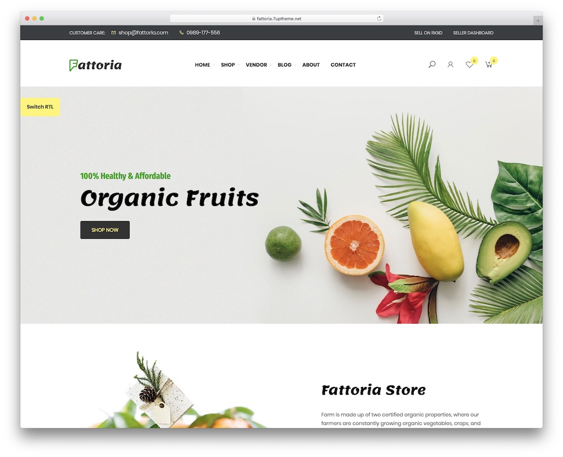 fattoria wordpress theme