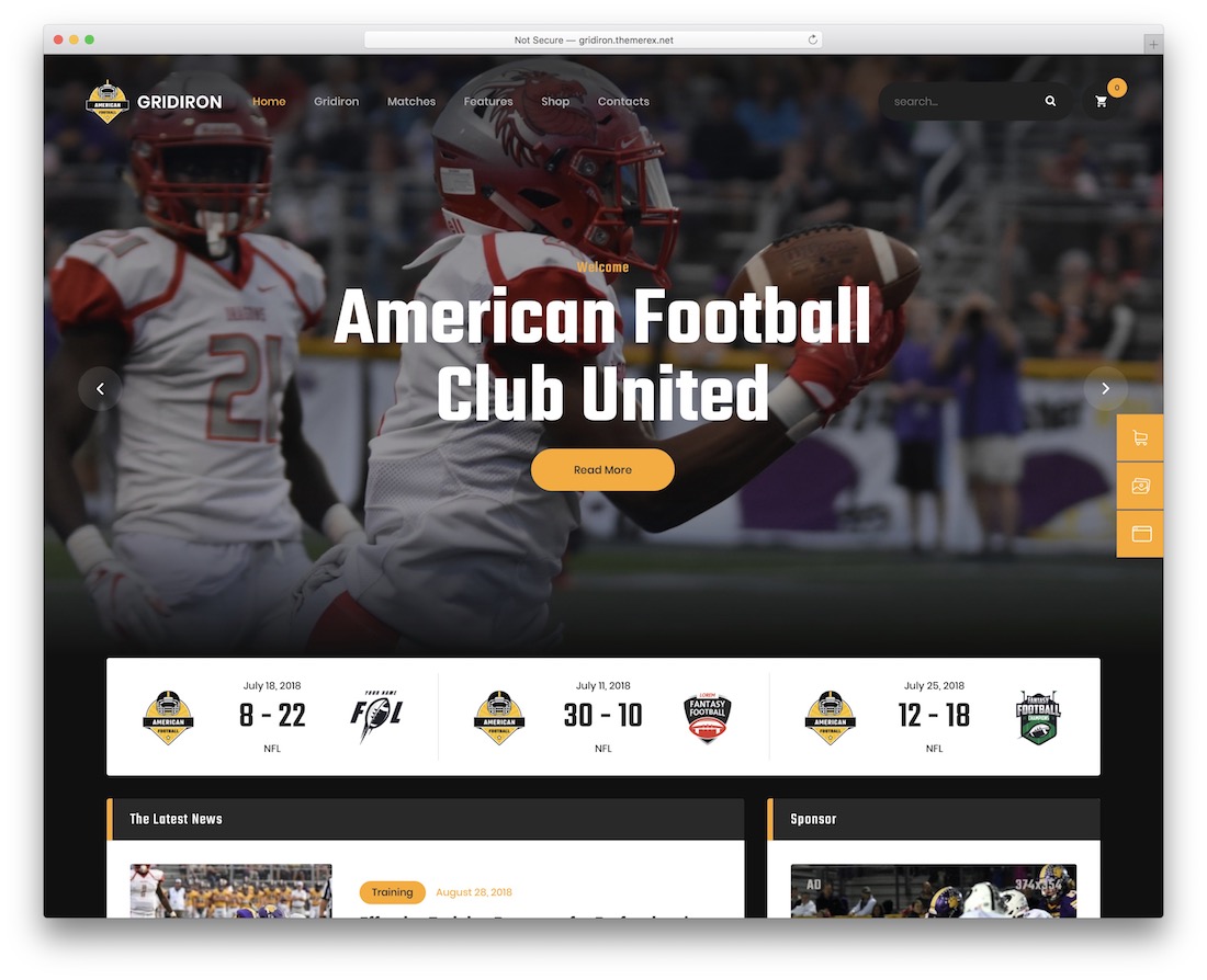 gridiron-baseball wordpress theme