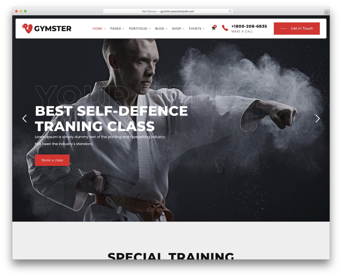 gymster martial arts wordpress theme