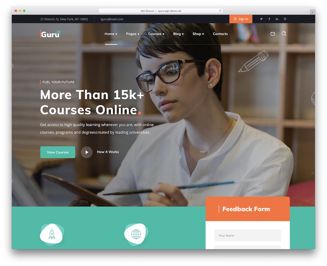 iguru elementary school wordpress theme