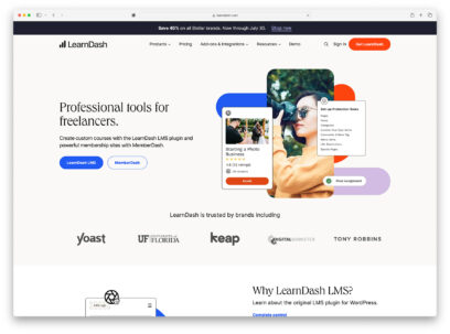 LMS WordPress plugins