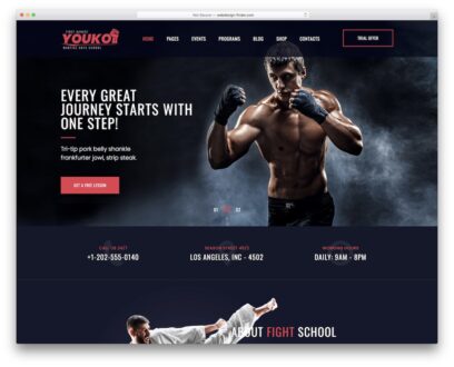 martial arts wordpress themes