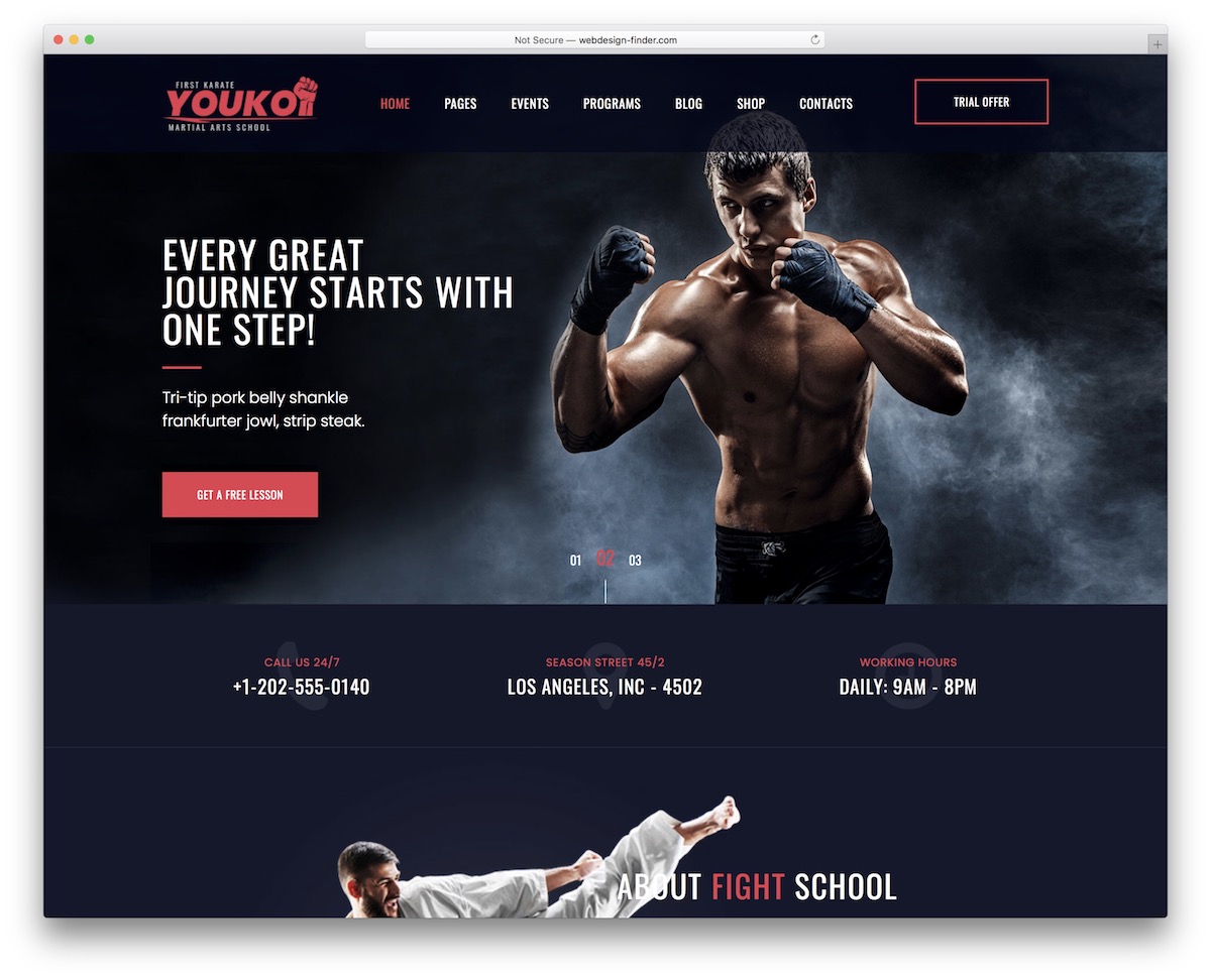 martial arts wordpress themes