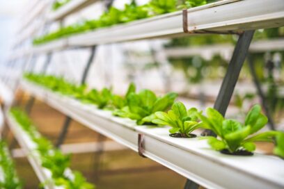 Organic Farming WordPress Themes