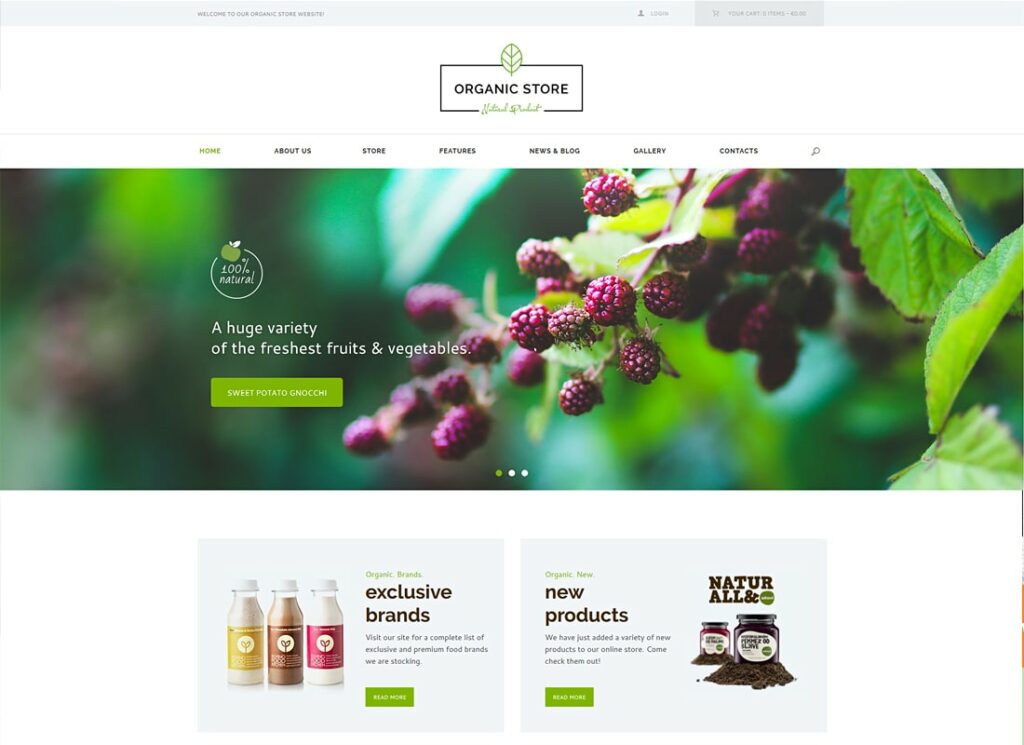 Organic Store | Eco Products Shop WordPress Theme + RTL