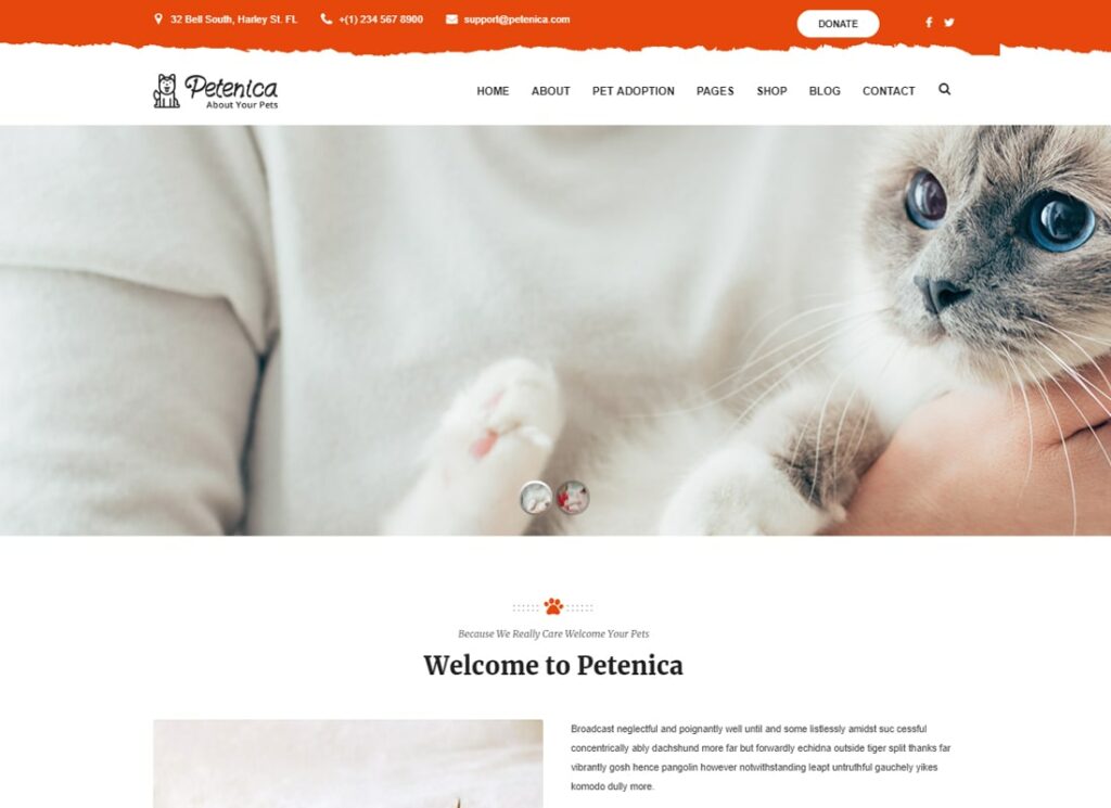 Petenica: Pet Sitter and Adoption WordPress Theme
