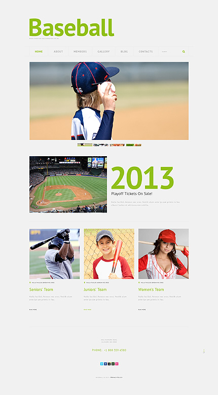 Baseball WordPress Theme