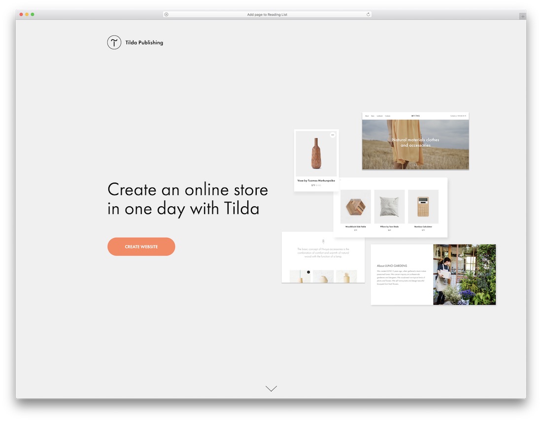 tilda online store builder