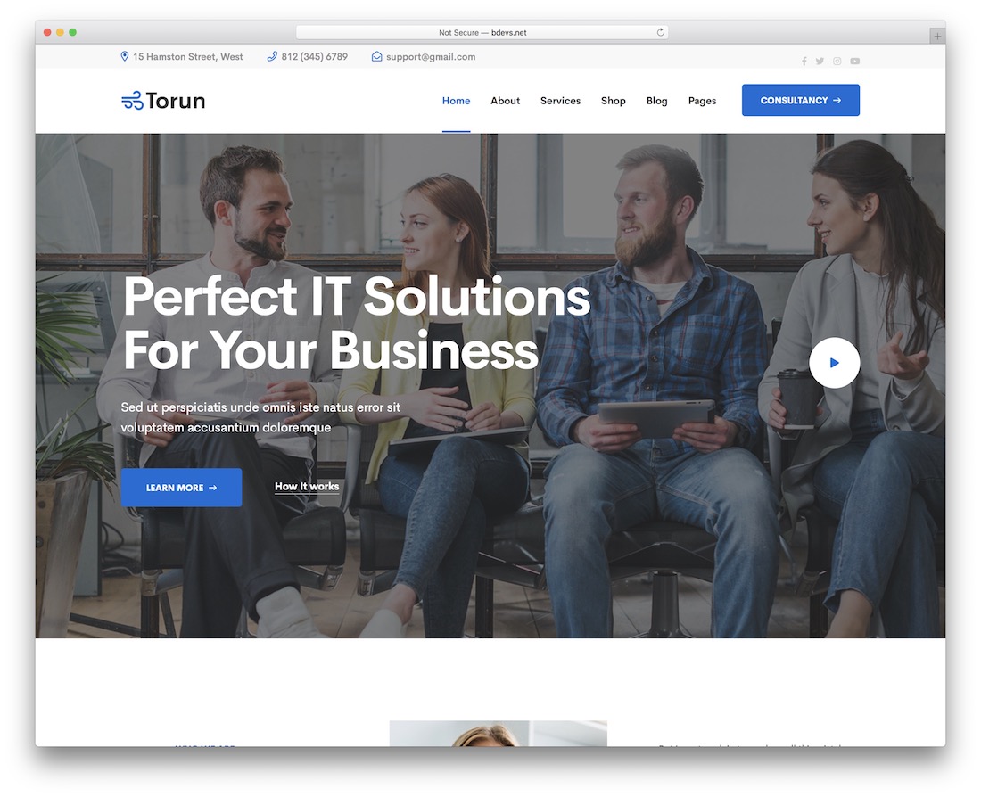 torun startup website template