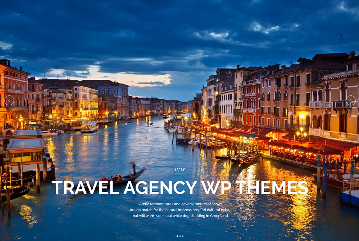 travel agency wordpress themes