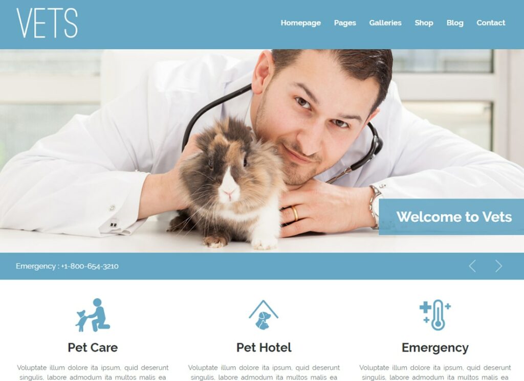 VETS | Veterinary Medical Health Clinic WP Theme