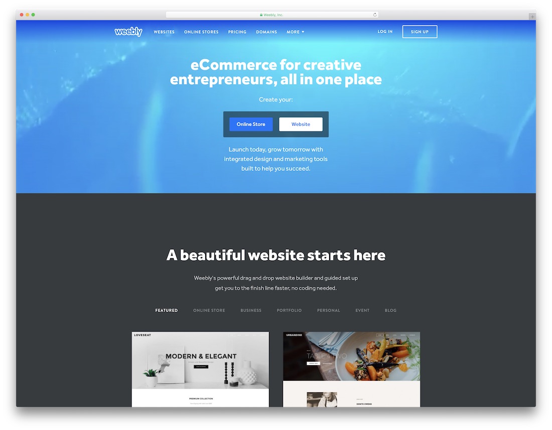 weebly best small business website builder