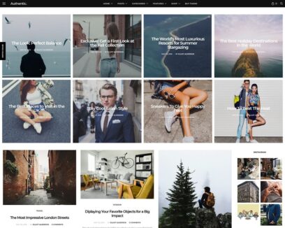 wordpress instagram themes
