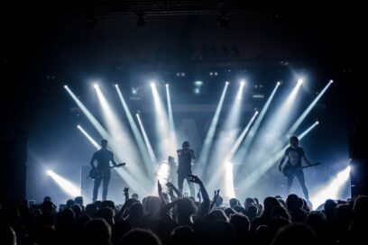 WordPress Themes for Concert