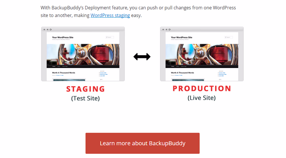 Backup buddy 1