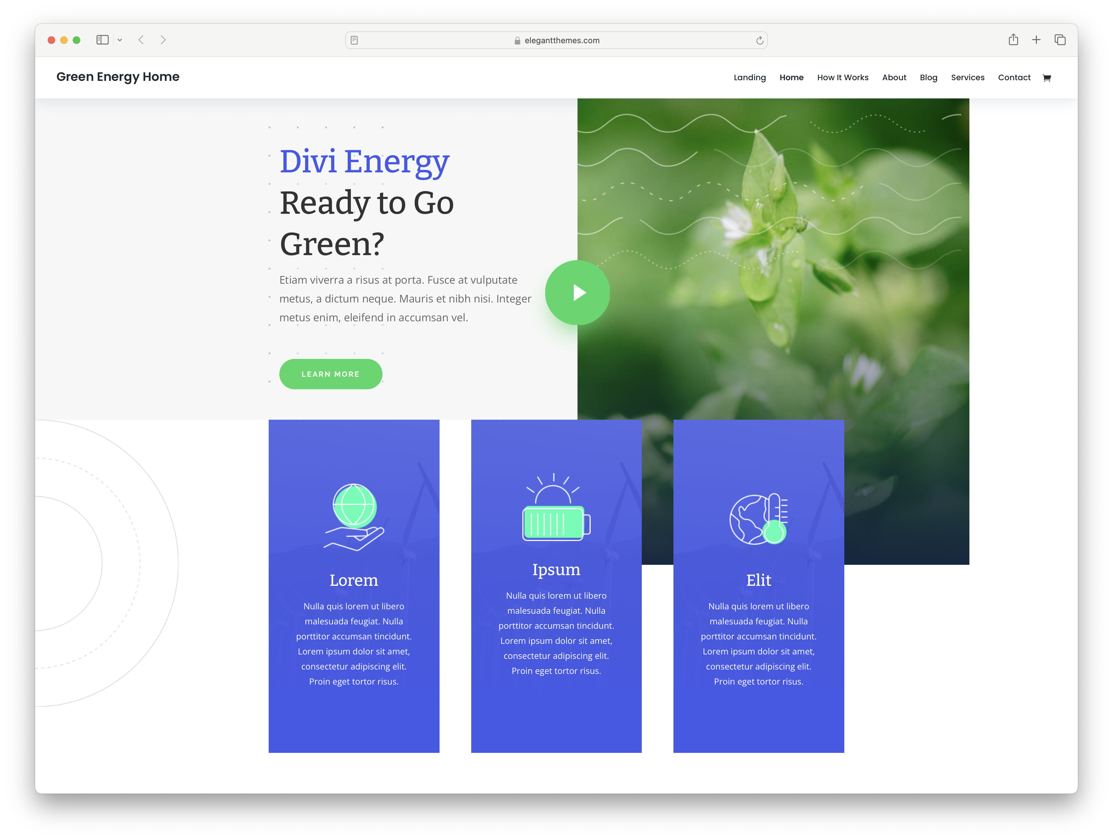 Divi - nature inspired green energy WordPress theme