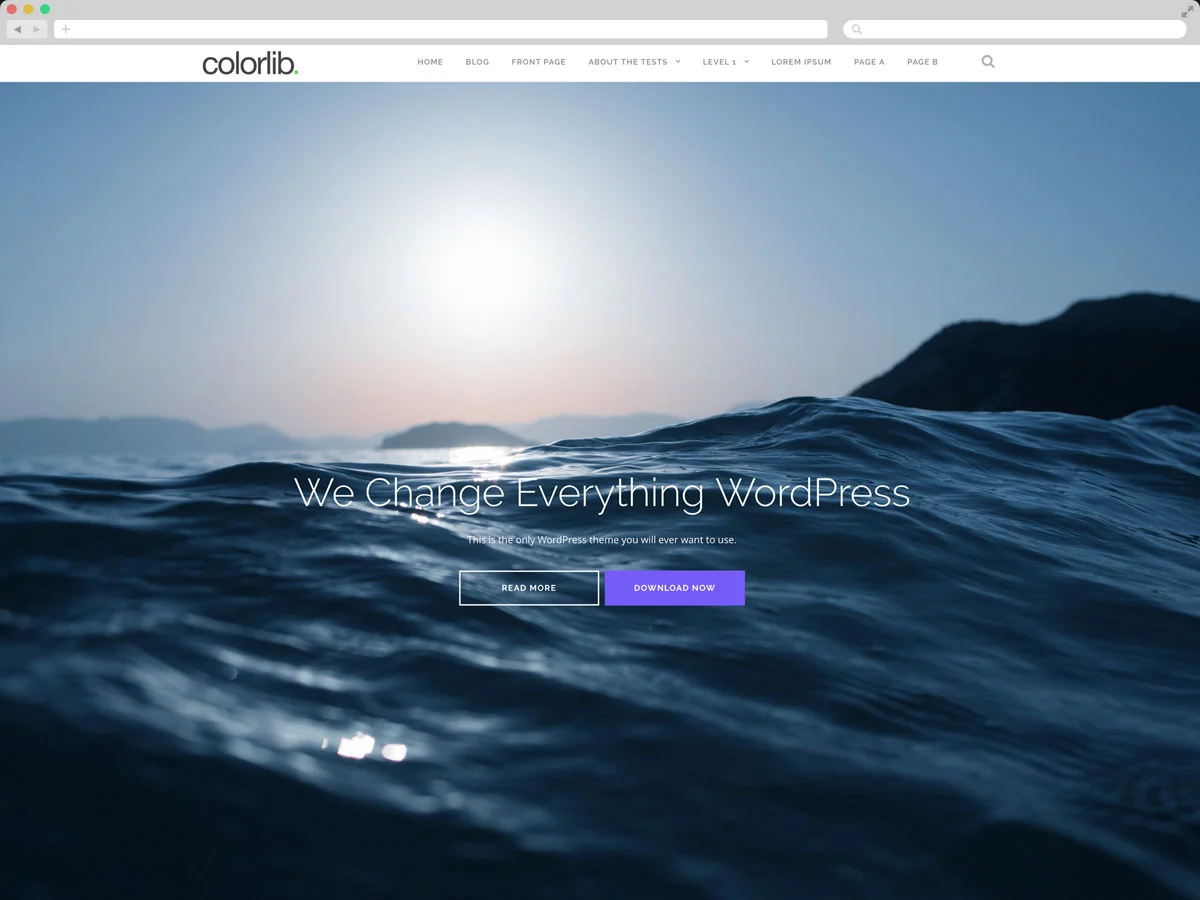 Shapely - Multipurpose Theme